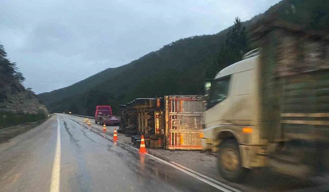 Bolu’da odun yüklü tır devrildi