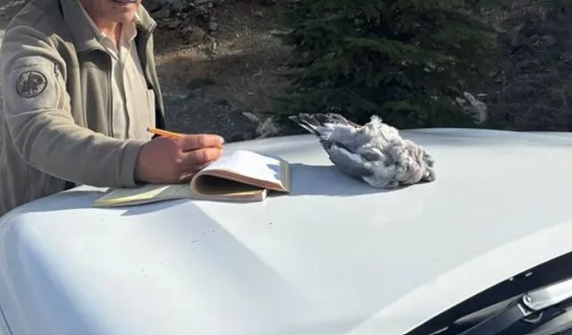 Burdur’da kaçak avcılar ekiplere yakalandı