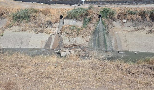 Çevreyi kirleten işletme hakkında yasal işlem başlatıldı