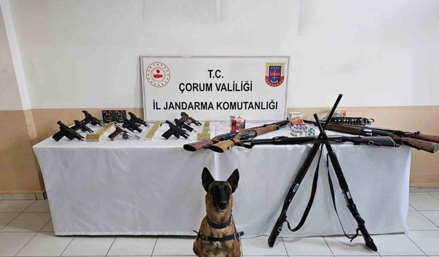 Çorum jandarmasından ’düğün magandaları’na operasyon : 11 gözaltı