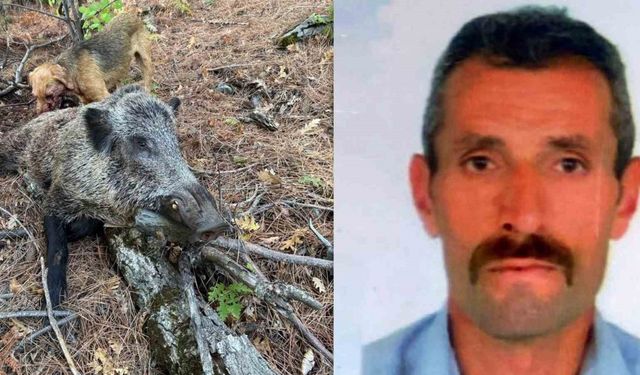 Domuz saldırısı can aldı