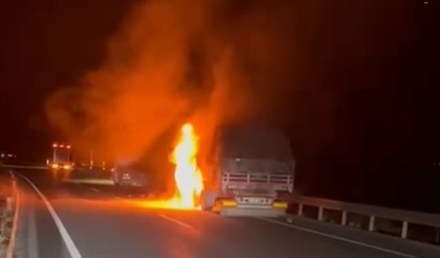 Erzincan'da seyir halindeki TIR alev aldı