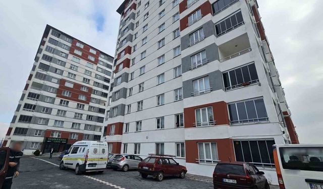 Evi taşınırken tartıştığı nakliyeciyi bıçakladı