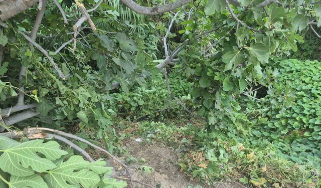 Fethiye’de kazada yaralanan genç, 123 günlük hayat mücadelesini kaybetti