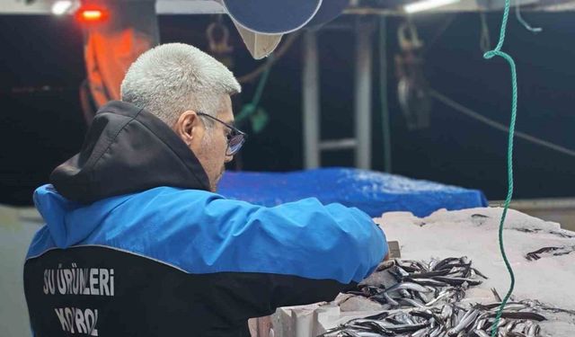 Gelibolu’da 45 kilo balığa el konuldu, 37 bin 770 lira para cezası kesildi