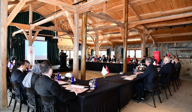 Giresun'da 'Düzensiz Göçle Mücadele Koordinasyon' toplantısı gerçekleştirildi