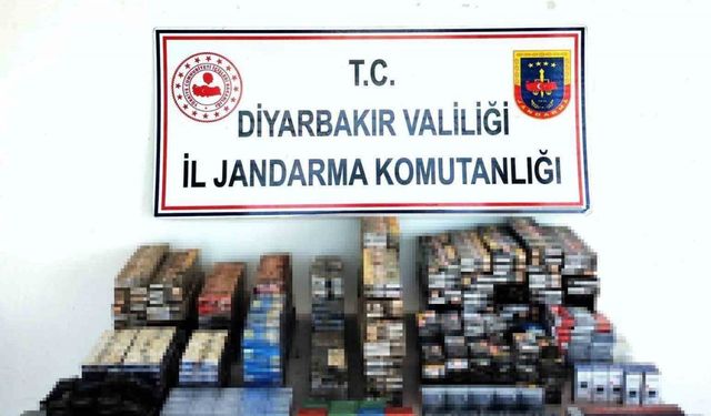 Jandarma operasyonunda 66 şüpheliye işlem yapıldı, silah ve çok sayıda mühimmat ele geçirildi