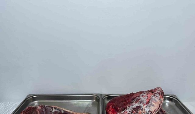 Karaman’da yaban keçisi avlayan şahıslara 954 bin 208 lira ceza