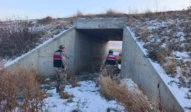 Kars'ta jandarmadan huzurlu okul uygulaması