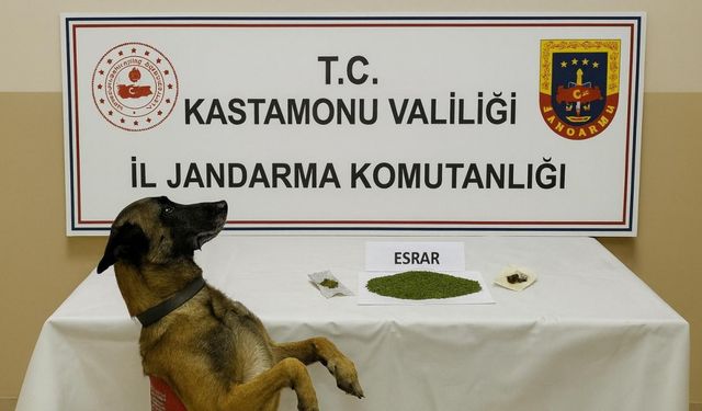 Kastamonu’da uyuşturucu operasyonu: 1 tutuklama