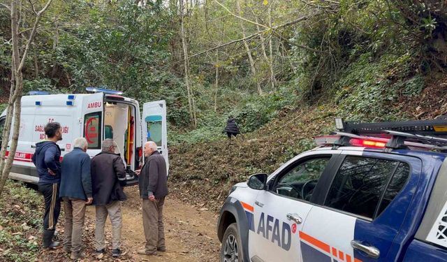 Kestiği ağacın çarptığı vatandaş uçuruma yuvarlandı