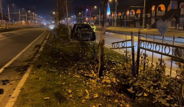 Köpeğe çarpmamak için manevra yapan sürücü refüje çıktı