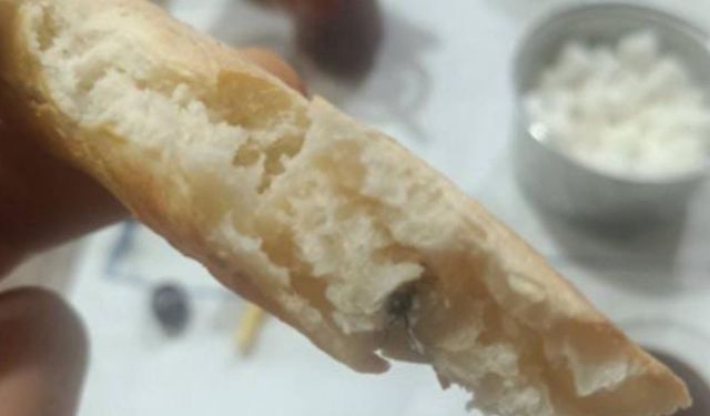Kurtalan’da ekmeğin içinden sinek çıktı