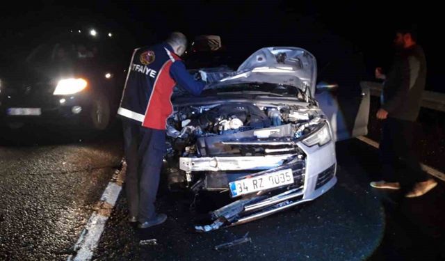 Mardin’de otomobilin çarptığı at telef oldu