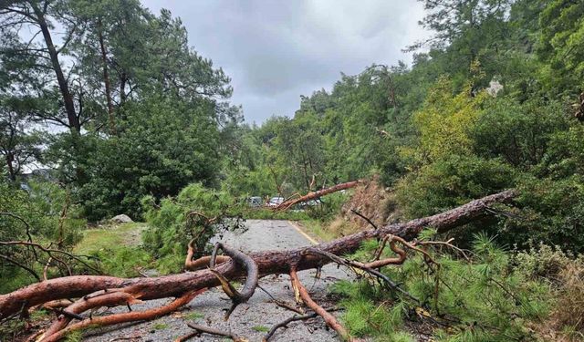 Menteşe Akbük’te şiddetli yağış ve rüzgar etkili oldu
