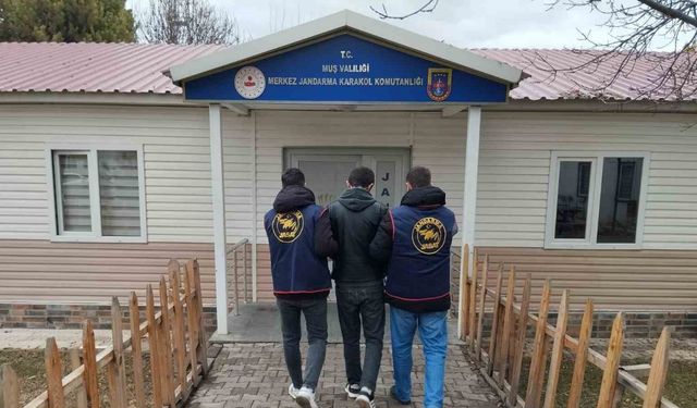 Muş’ta dolandırıcılık suçundan aranan hükümlü yakalandı