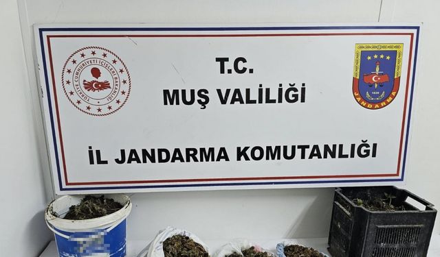 Muş’ta uyuşturucu operasyonu