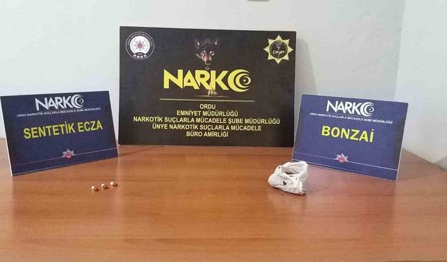 Ordu’da uyuşturucu operasyonlarında 2 tutuklama