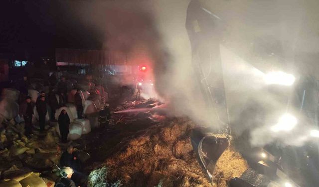 Samanlıkta çıkan yangın bitişikteki ağıla sıçramadan söndürüldü