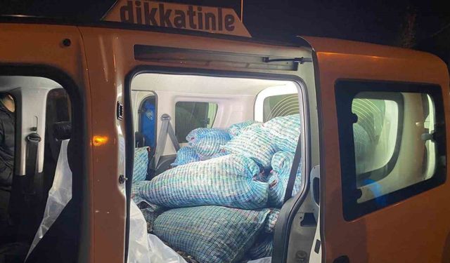 Samsun’da 300 kilo kaçak midye ele geçirildi