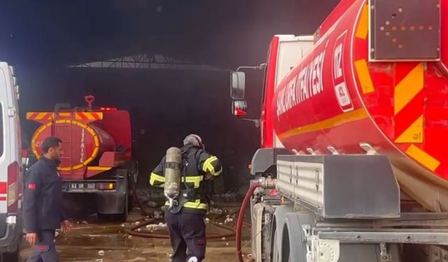 Şanlıurfa’da pamuk fabrikasında yangın