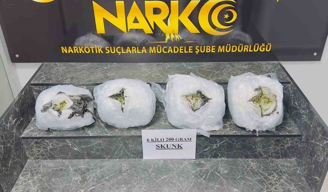 Şırnak’ta 6 kilo 200 gram skunk ele geçirildi