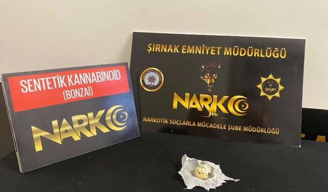 Şırnak'ta narkotik ve kaçakçılık operasyonu: 4 tutuklama