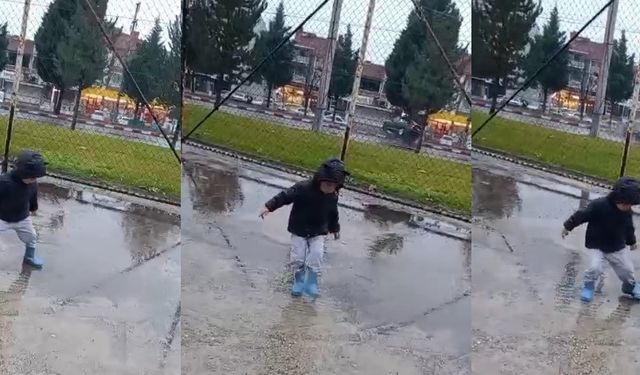 Tavşanlı’da orta refüjdeki ağaca çarpan otomobildeki 2 kişi yaralandı