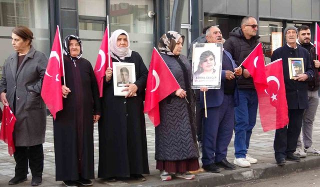 Vanlı annelerin evlat nöbeti 114’üncü haftasında