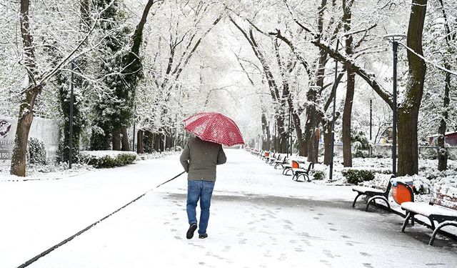 Bu kış kar yağışları geçmiş yıllara göre daha az olacak