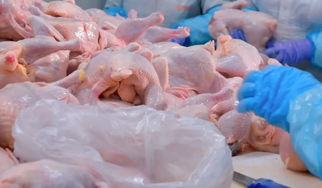 Türkiye'nin dev tavuk markası konkordato ilan etti