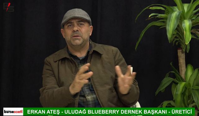 Blueberry üreticilerinin sorunları Bursa Saati’nde gündeme geldi
