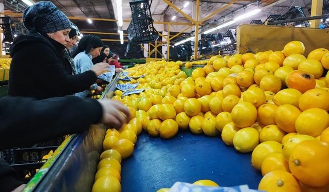 Grip vakaları artıyor; C vitaminini yanlış besinde aramayın