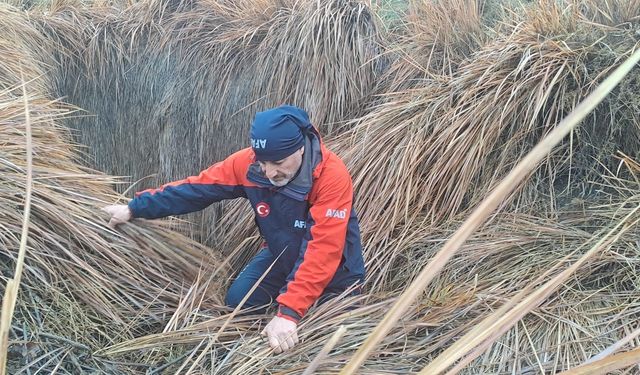 379 kişi iz takip ve kadavra köpeğiyle kayıp kadını arıyor