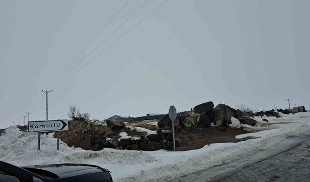 Adilcevaz'da kuduz alarmı: Bir köy karantinaya alındı