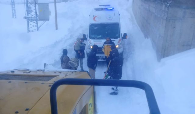 Ağrı'da köylerde rahatsızlanan hastalar için ekipler seferber oldu