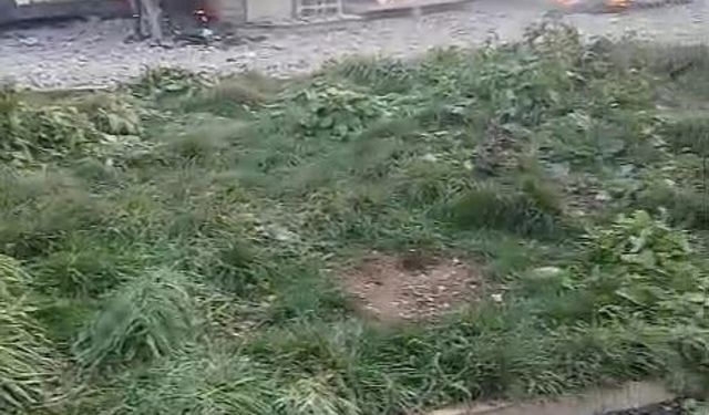 Arnavutköy'de şantiyede yangın paniği: Konteynerler alev alev yandı