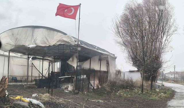 Balkondan düşen saksı az kalsın faciaya neden olacaktı