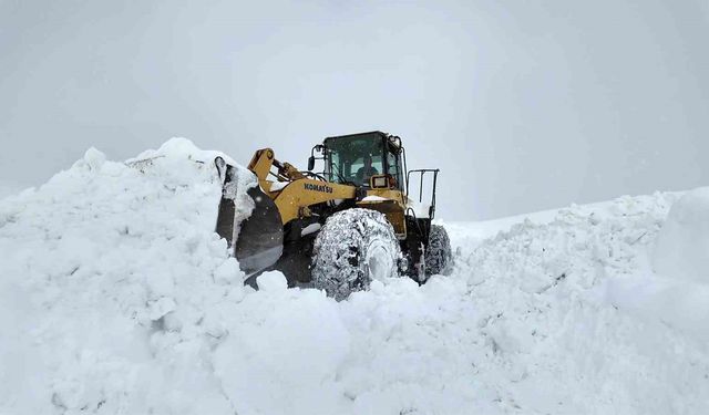 Bingöl'de karla mücadele çalışmaları gece gündüz sürüyor