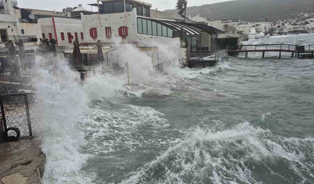 Bodrum'da tekneler karaya vurdu, feribot seferleri yapılamadı
