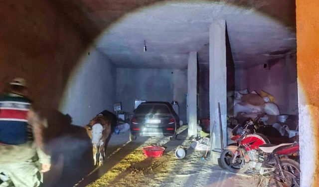 Çalıntı otomobil ahırda bulundu