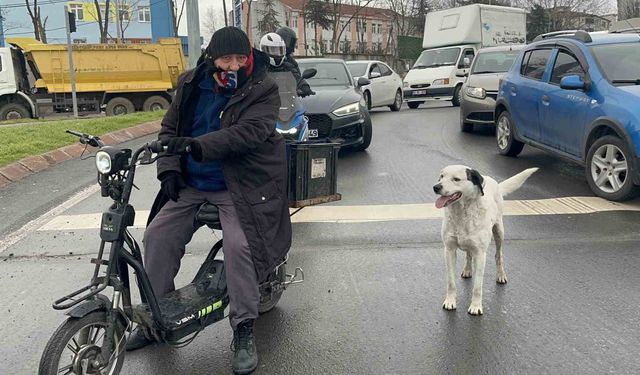 Çarşı pazar peşinden ayrılmıyor