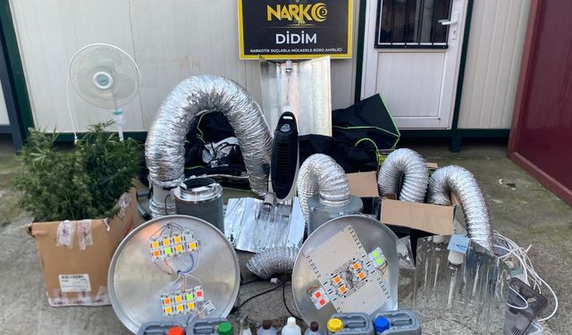 Didim'de uyuşturucu operasyonu: Kenevir yetiştirme kabini ele geçirildi