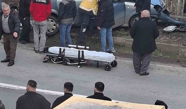 Direksiyon başında kalp krizi geçirip kaza yapan sürücü öldü