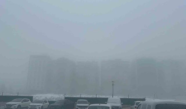 Diyarbakır sis denizinde kayboldu, uçak seferleri iptal edildi