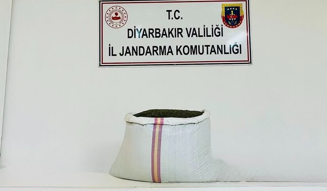 Diyarbakır'da 41 kilo esrar ele geçirildi