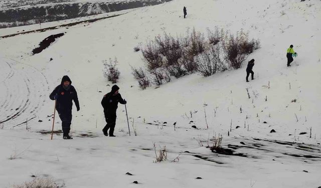 Diyarbakır'da kayıp kadın 480 kişilik ekiple aranıyor