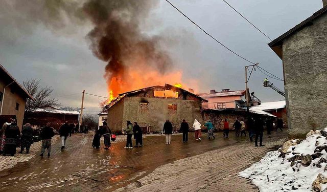 Domaniç'te ahır yangını korkuttu