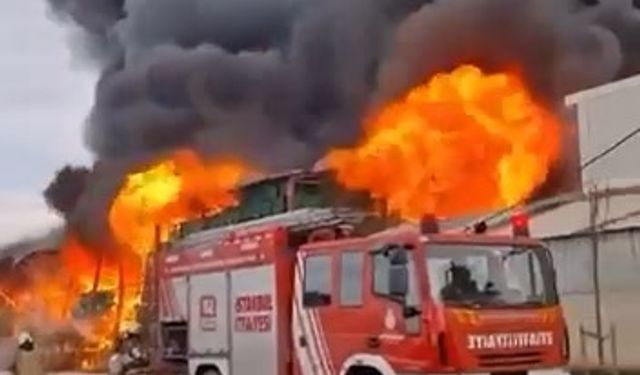 Esenyurt'ta bir zincir market deposunda yangın çıktı. Olay yerine çok sayıda itfaiye ekibi sevk edildi.