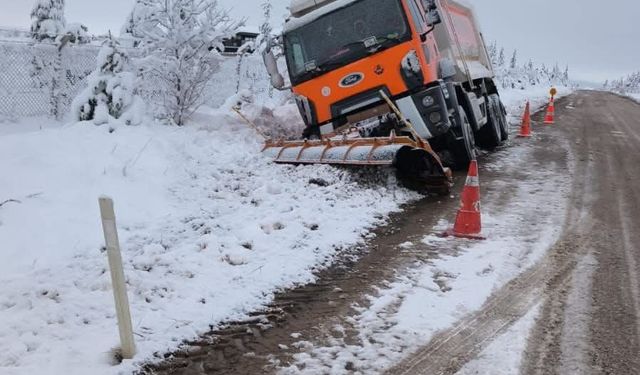 Eskişehir'de kar küreme aracı yoldan çıktı